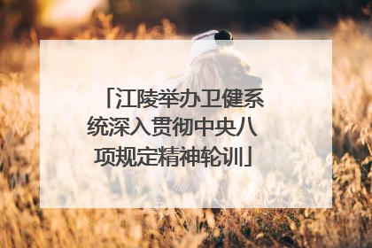 江陵举办卫健系统深入贯彻中央八项规定精神轮训