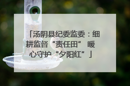汤阴县纪委监委：细耕监督“责任田” 暖心守护“夕阳红”