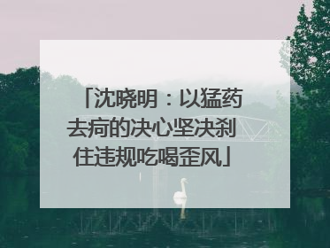 沈晓明：以猛药去疴的决心坚决刹住违规吃喝歪风