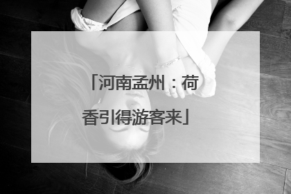 河南孟州：荷香引得游客来
