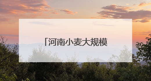 河南小麦大规模机收基本结束