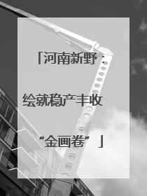 河南新野：绘就稳产丰收“金画卷”