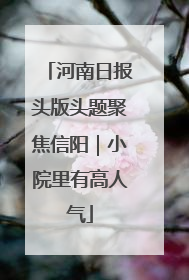 河南日报头版头题聚焦信阳｜小院里有高人气