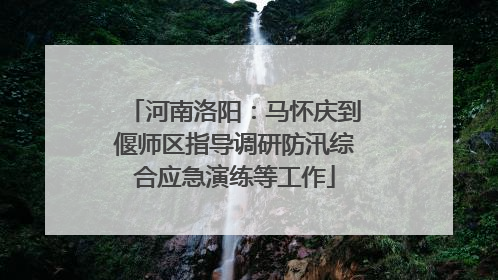 河南洛阳：马怀庆到偃师区指导调研防汛综合应急演练等工作