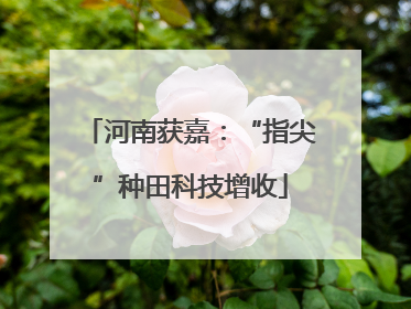 河南获嘉：“指尖”种田科技增收