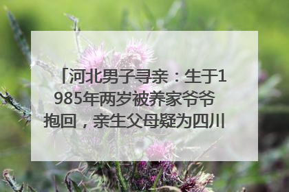 河北男子寻亲：生于1985年两岁被养家爷爷抱回，亲生父母疑为四川仪陇人｜红星寻人