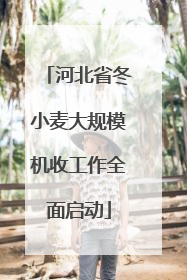 河北省冬小麦大规模机收工作全面启动