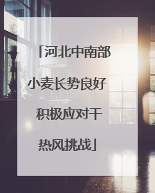河北中南部小麦长势良好 积极应对干热风挑战