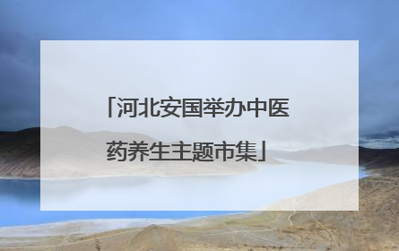 河北安国举办中医药养生主题市集