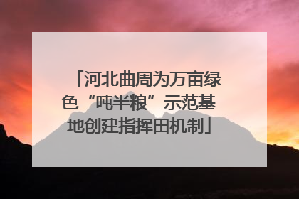 河北曲周为万亩绿色“吨半粮”示范基地创建指挥田机制