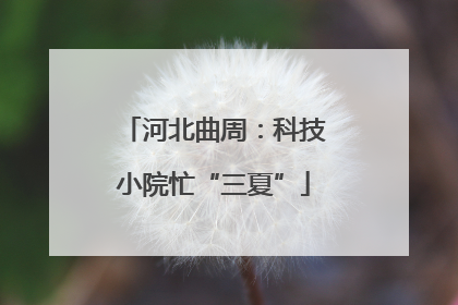 河北曲周：科技小院忙“三夏”