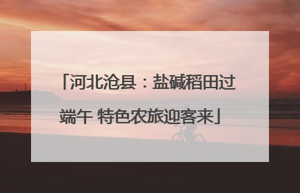 河北沧县：盐碱稻田过端午 特色农旅迎客来