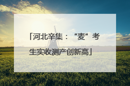 河北辛集：“麦”考生实收测产创新高