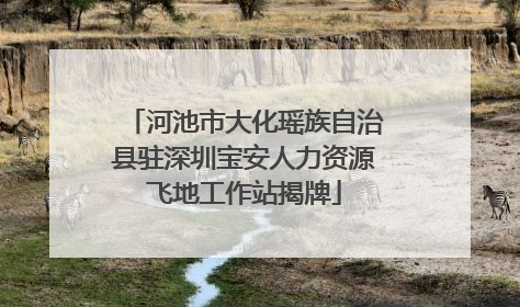 河池市大化瑶族自治县驻深圳宝安人力资源飞地工作站揭牌
