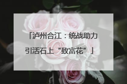 泸州合江：统战助力引活石上“致富花”