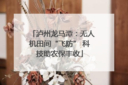 泸州龙马潭：无人机田间“飞防” 科技助农保丰收