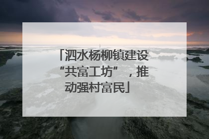 泗水杨柳镇建设“共富工坊”，推动强村富民