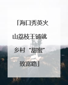 海口秀英火山荔枝王铺就乡村“甜蜜”致富路