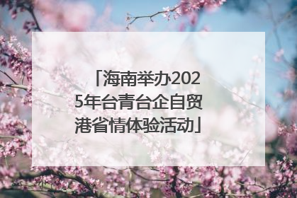 海南举办2025年台青台企自贸港省情体验活动