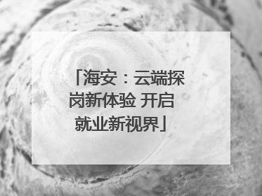 海安：云端探岗新体验 开启就业新视界