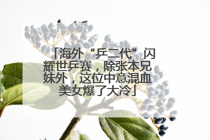 海外“乒二代”闪耀世乒赛，除张本兄妹外，这位中意混血美女爆了大冷
