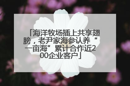 海洋牧场插上共享翅膀，老尹家海参认养“一亩海”累计合作近200企业客户