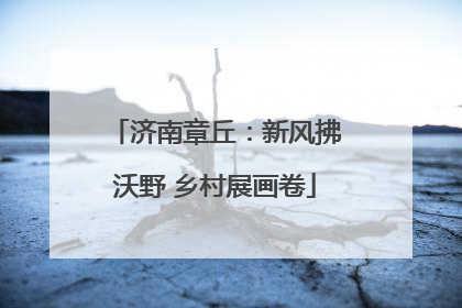 济南章丘：新风拂沃野 乡村展画卷