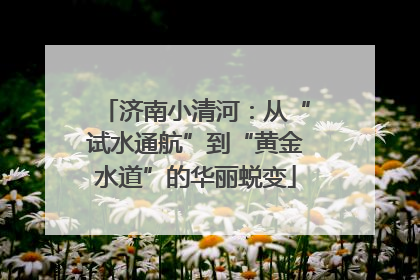 济南小清河：从“试水通航”到“黄金水道”的华丽蜕变