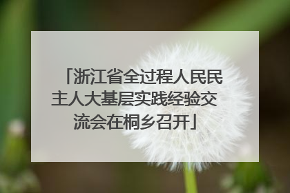 浙江省全过程人民民主人大基层实践经验交流会在桐乡召开