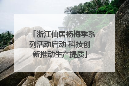 浙江仙居杨梅季系列活动启动 科技创新推动生产提质