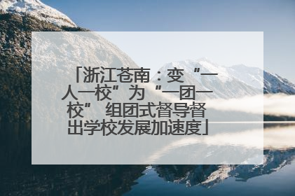 浙江苍南：变“一人一校”为“一团一校” 组团式督导督出学校发展加速度