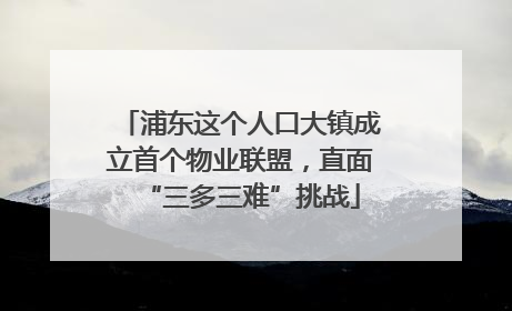 浦东这个人口大镇成立首个物业联盟，直面“三多三难”挑战