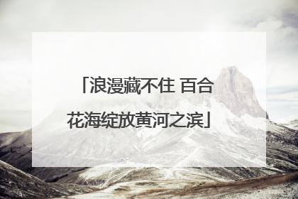 浪漫藏不住 百合花海绽放黄河之滨
