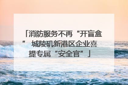 消防服务不再“开盲盒” 城陵矶新港区企业喜提专属“安全官”