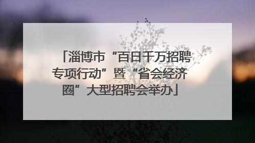 淄博市“百日千万招聘专项行动”暨“省会经济圈”大型招聘会举办