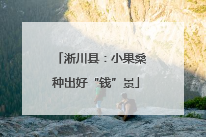 淅川县：小果桑种出好“钱”景
