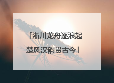 淅川龙舟逐浪起 楚风汉韵贯古今