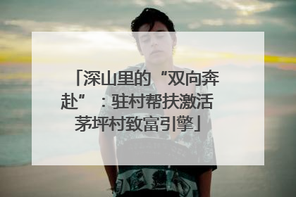 深山里的“双向奔赴”：驻村帮扶激活茅坪村致富引擎