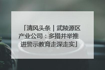 清风头条｜武陵源区产业公司：多措并举推进警示教育走深走实