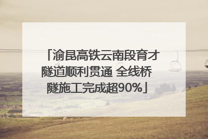 渝昆高铁云南段育才隧道顺利贯通 全线桥隧施工完成超90%