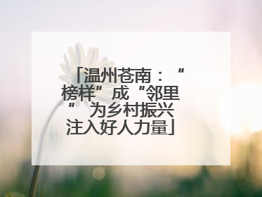 温州苍南：“榜样”成“邻里” 为乡村振兴注入好人力量