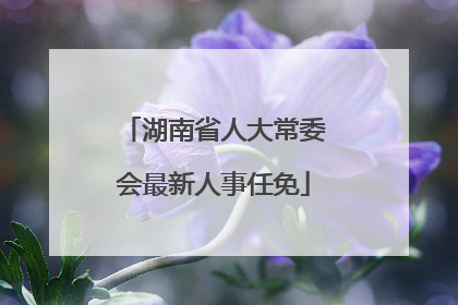 湖南省人大常委会最新人事任免
