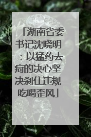 湖南省委书记沈晓明：以猛药去疴的决心坚决刹住违规吃喝歪风