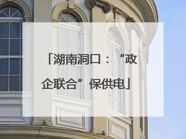 湖南洞口：“政企联合”保供电