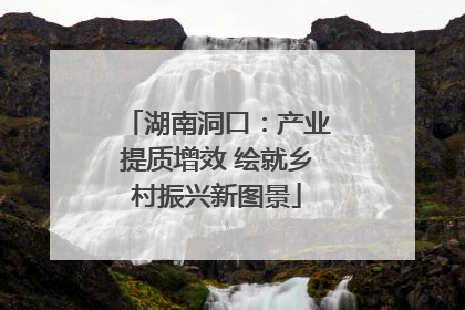 湖南洞口：产业提质增效 绘就乡村振兴新图景