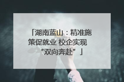 湖南蓝山：精准施策促就业 校企实现“双向奔赴”
