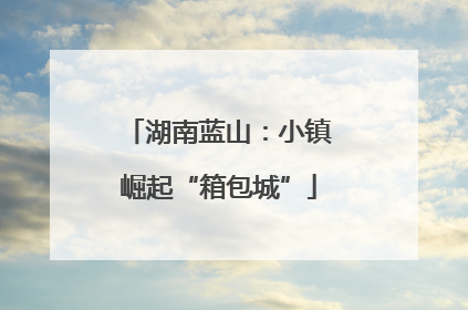 湖南蓝山：小镇崛起“箱包城”