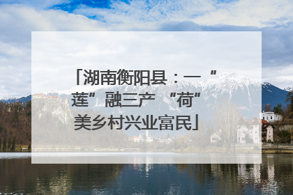 湖南衡阳县：一“莲”融三产 “荷”美乡村兴业富民