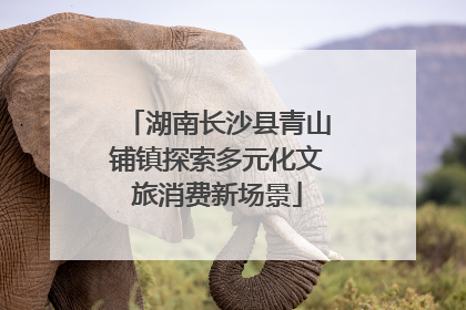 湖南长沙县青山铺镇探索多元化文旅消费新场景