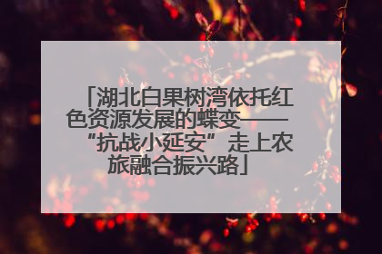 湖北白果树湾依托红色资源发展的蝶变——“抗战小延安”走上农旅融合振兴路